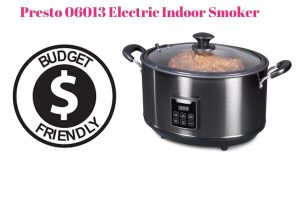 Budget-friendly indoor Electric Smoker