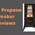 10 Best Propane Smoker 2023 - Reviews & Buyer's Guide