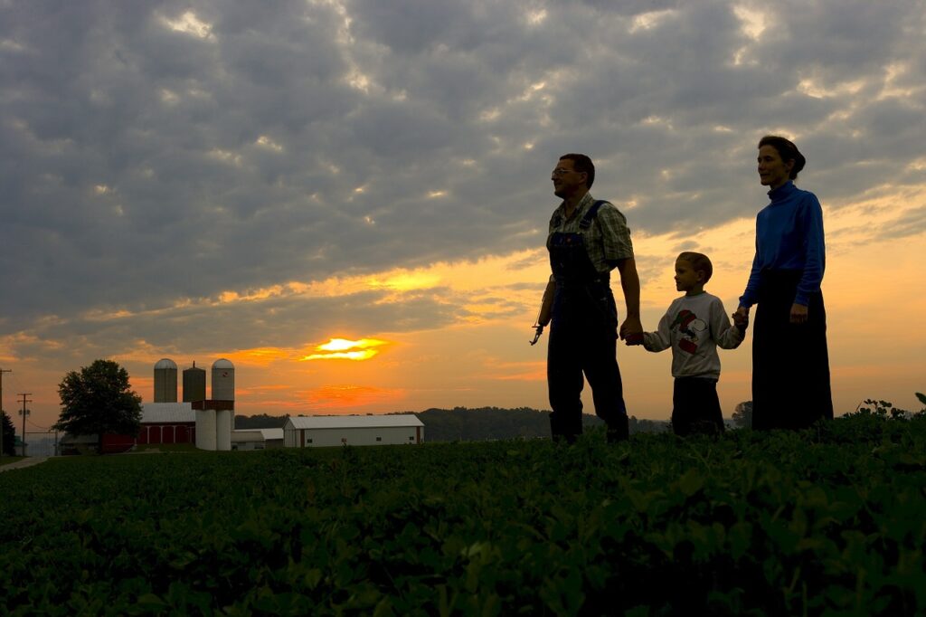 Family farms