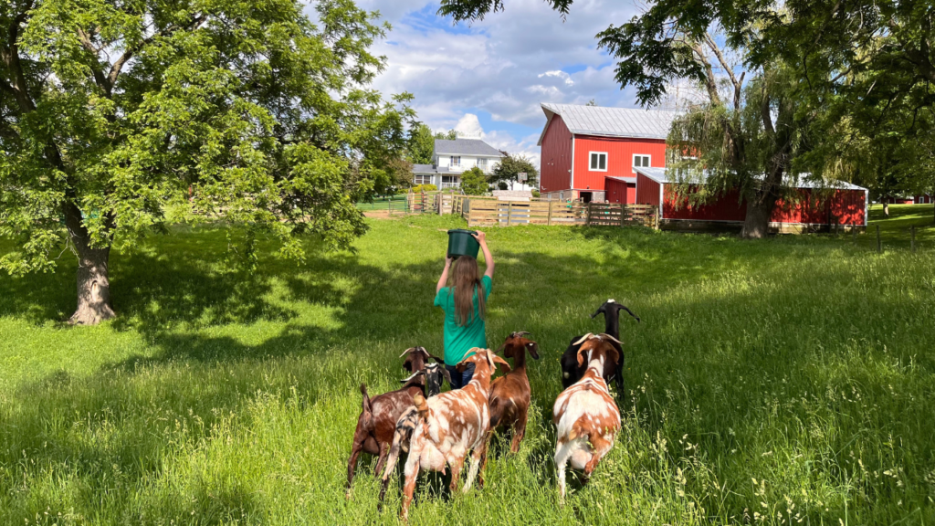 Visit family farm